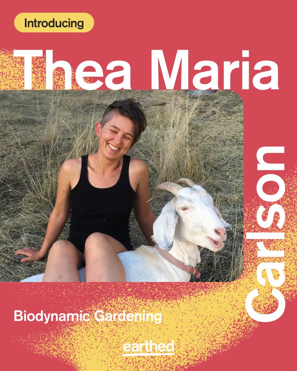 earthed_co's tweet image. MEET THE TEACHER: Thea Maria Carlson is a remarkable educator whose teachings inspire individuals at all levels of experience to create a harmonious and self-sustaining ecosystem that works as a whole, to generate abundance and nourishment. 

#WeAreEarthed #Biodynamics
