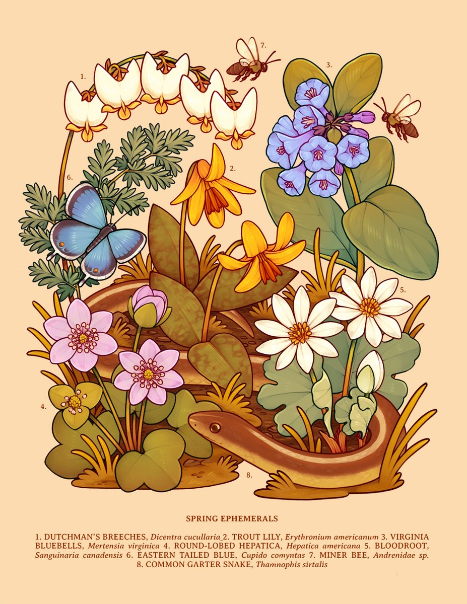 「Hi #PortfolioDay ! I'm Lianne, a botanic」|loon 🌱✨ shop reopening 3/29!のイラスト