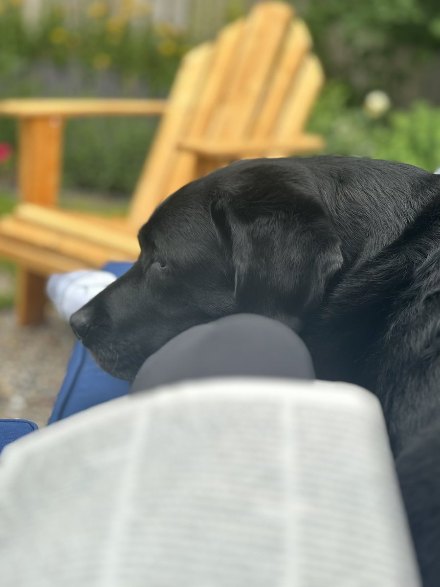 Summer mornings in the garden reading <a href="/NewYorker/">The New Yorker</a> #becurious #RundleReads