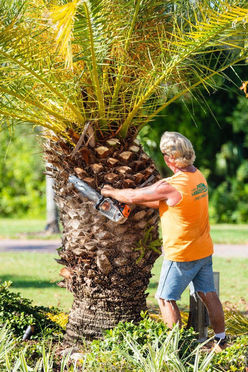 FLProLandscaper's tweet photo. Did you know that planting trees and shrubs can help reduce energy costs in your home? The shade they provide can natually lower the temperature around your house by up to 10 degrees! https://t.co/1k7dscM9qD