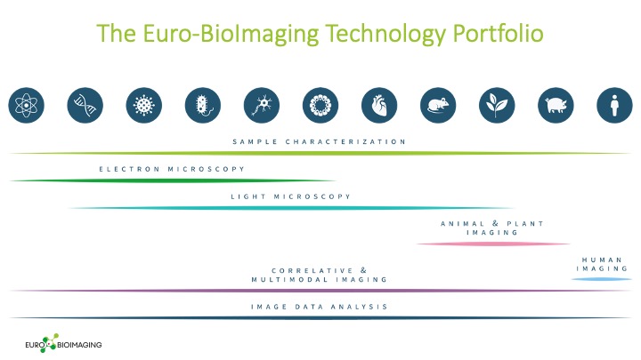 Did you know🤔? With the support of our Nodes, we added 3⃣2⃣ new technologies to our portfolio in 2022 and transformed the technology selection process on our website. Visit our Proof-of-Concept studies page to learn more about the new technology offer⤵️
eurobioimaging.eu/content/pcs-pr…