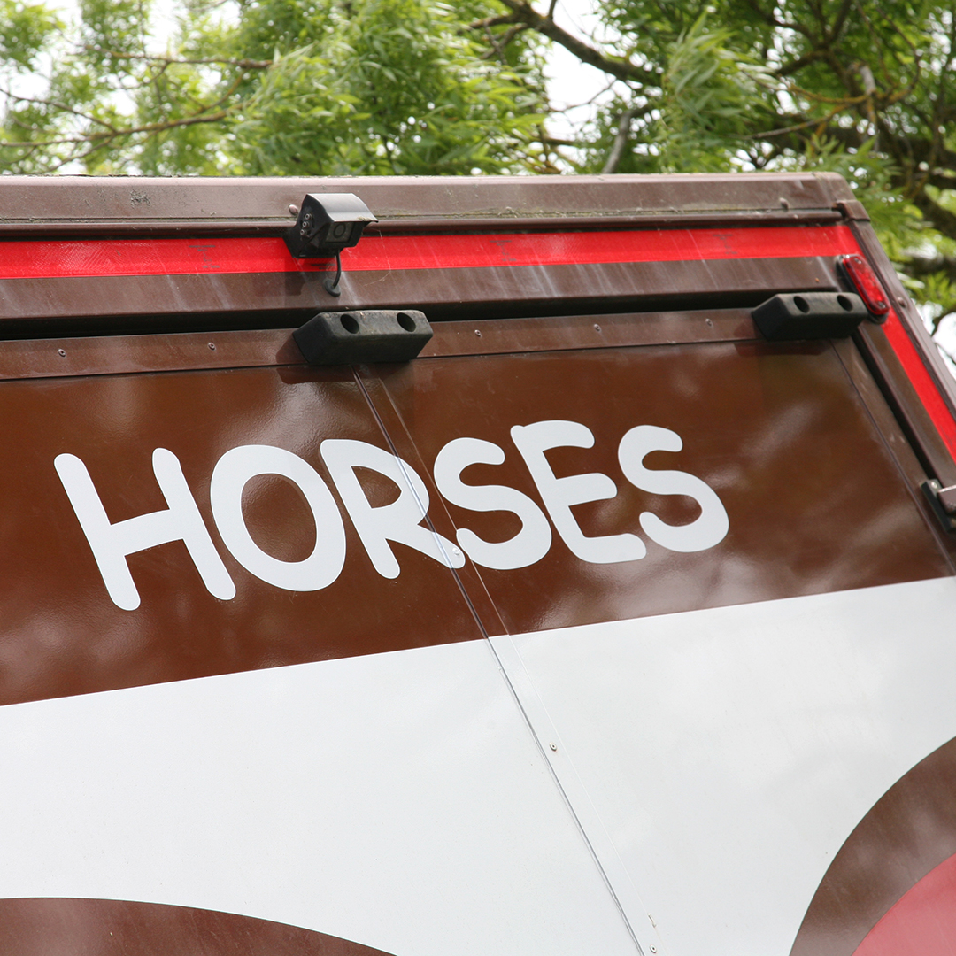 Signspeed's tweet image. Replacement Horse Lorry Graphics 🐎
If you've got a horse lorry in need of new or replacement graphics, give us a call ☎️ on 01646 651799 or email 📧 mail@signspeed.com for a quote!
#horselorrygraphics #horselorrydecals #vangraphics #graphics #vinylgraphics #vehiclegraphics