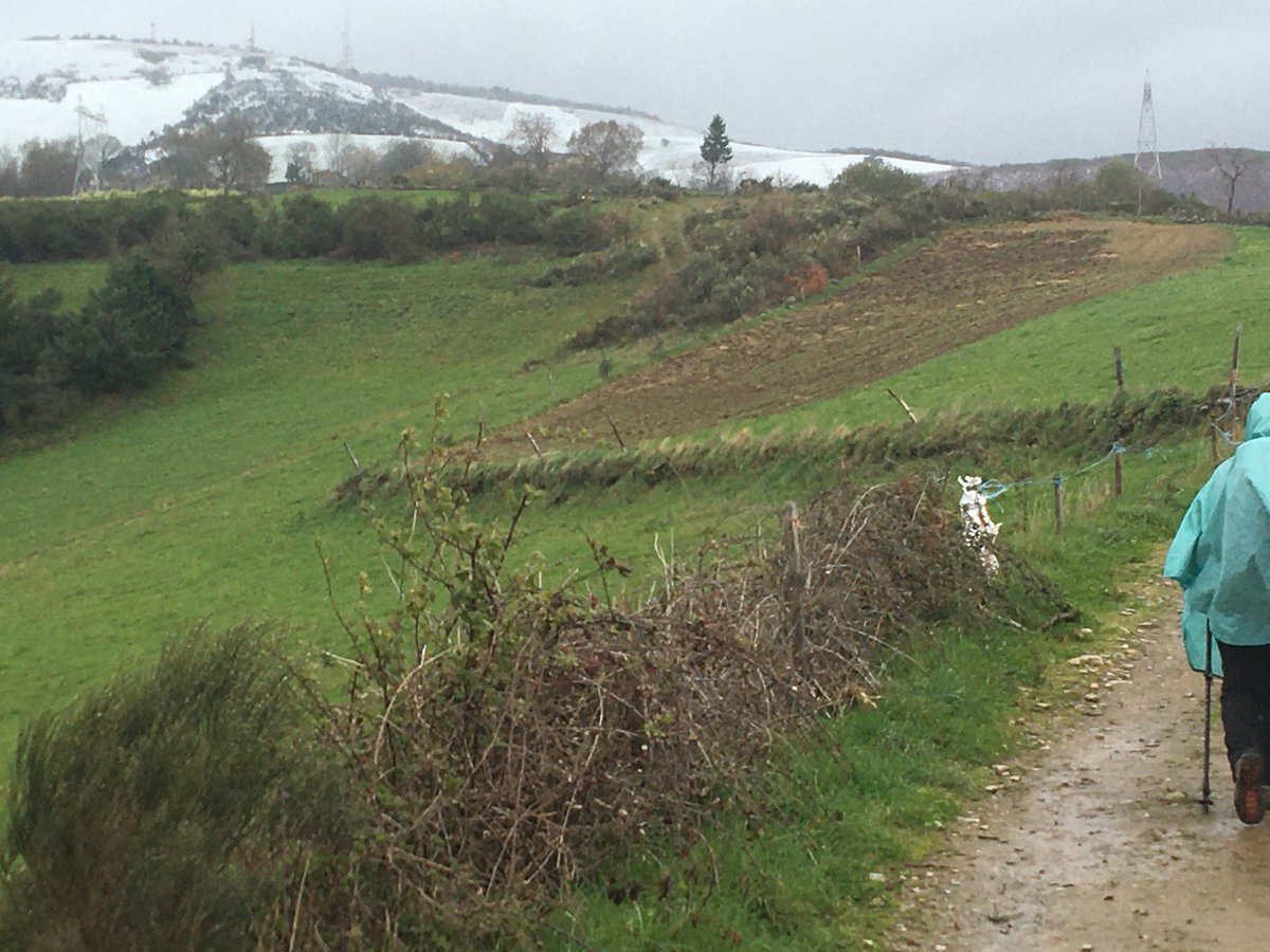 #CaminoTuesday. The way ahead up to O Cobreiro last spring