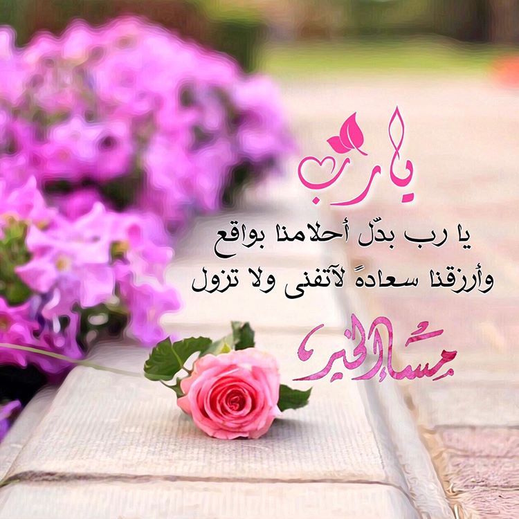 SheikhAlQahta's tweet photo. #مساء_الخيرᅠ https://t.co/XjoOmIPG5n
