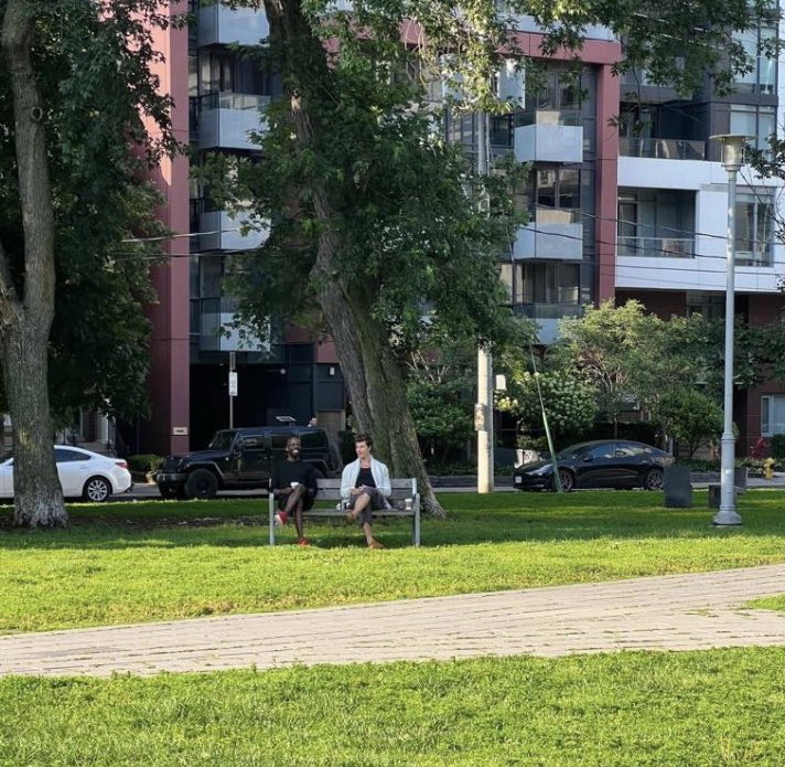 Shawn Mendes visual data 7