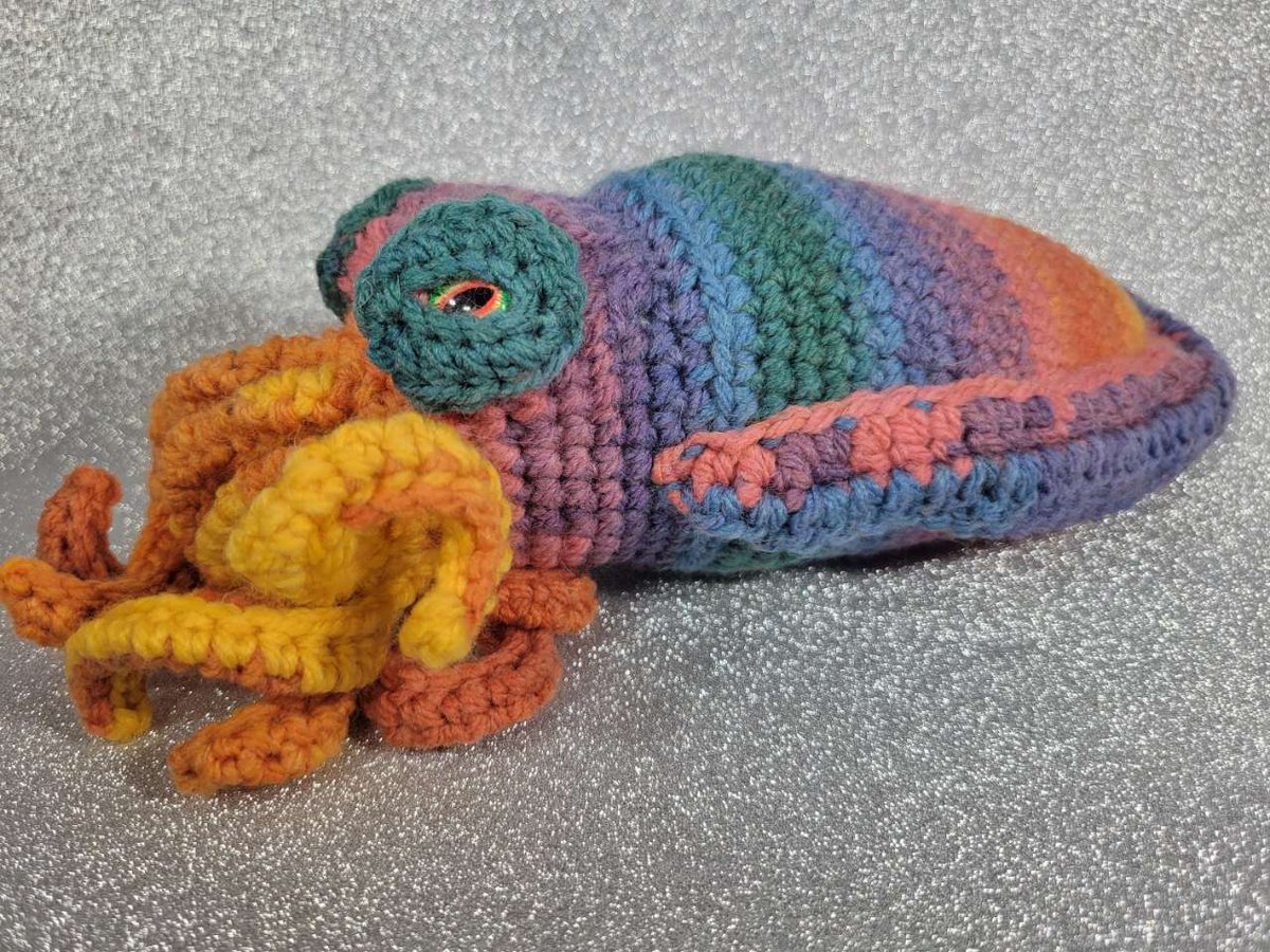 eldritch_stitch's tweet photo. 🧶🧶 Excited to share the latest additions to my #etsy shop: #handmade #crochet Large Bright Rainbow Cuttlefish 🐙 🐙 #rainbow #cuttlefish #stuffedanimal #plushies #ocean #squid #toys #amigurumi

🔗https://t.co/Qys1Sy2sZo https://t.co/ncGyHX0ukH