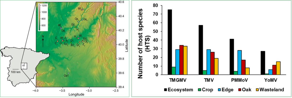 Tobamoviruses show broad host ranges and little genetic diversity among four habitat types of a heterogeneous ecosystem. 
Result underscore the relevance of the probability of virus-host encounters, rahter than of apdatation, in tobamovirus host ranges in nature.