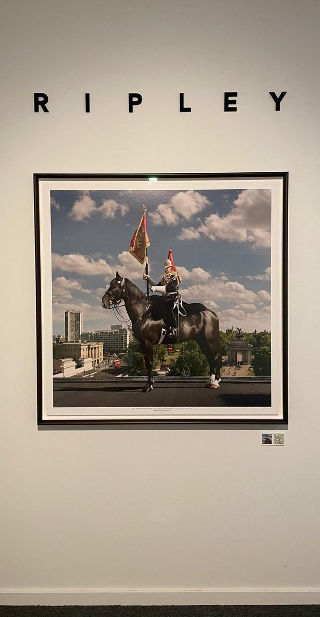 We have had some wonderful feedback from our launch on Saturday of 'The Household Cavalry Mounted Regiment: The Coronation Year Exhibition' by photographic artist Ripley.
The exhibition is running until 30th July and viewing is included as part of general admission.