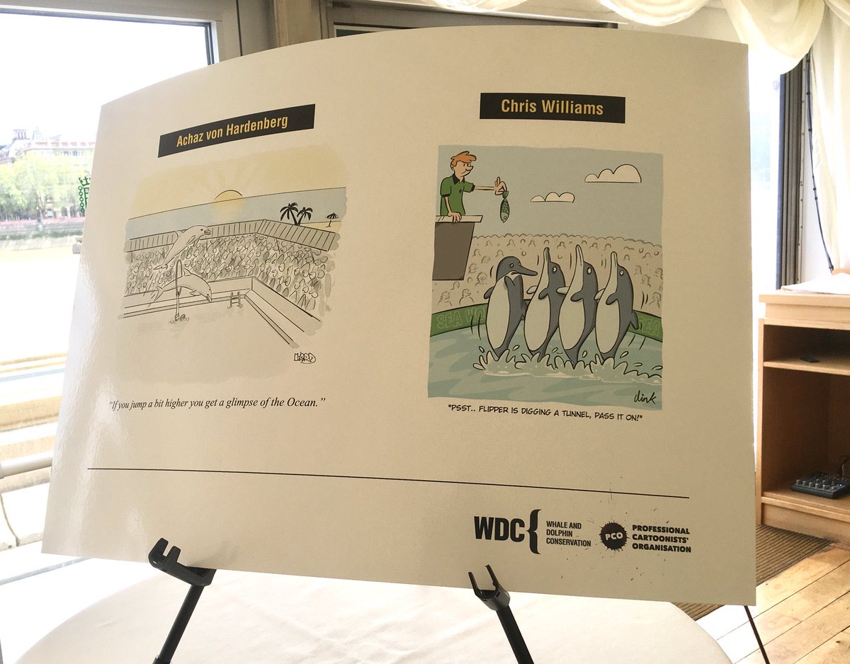 Hard toons tweet media