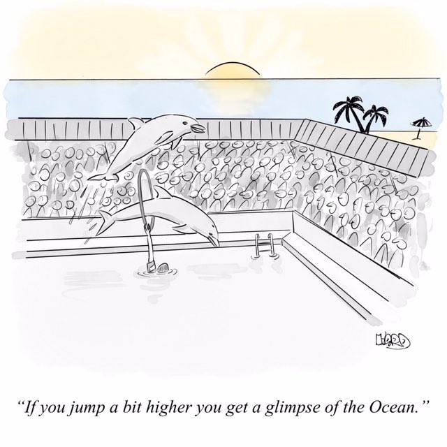 Hard toons tweet media