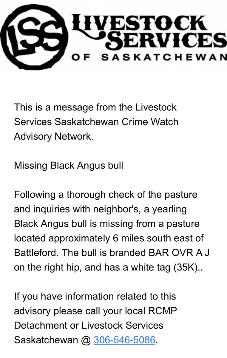 SK_StockGrowers's tweet photo. Contact your local LSS office or RCMP detachment if you have any information on this missing bull. https://t.co/15u7zTTAT8