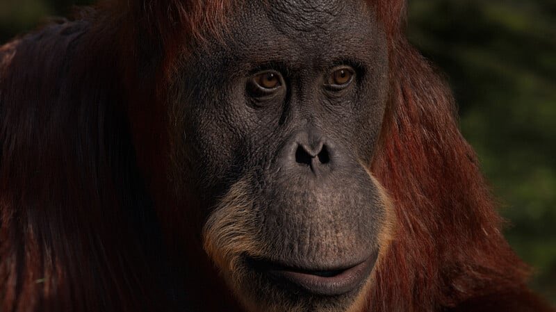 GameTxtures's tweet image. The realism on these pieces are ✨jaw-dropping✨ 
Introducing Stefano Strabla as our #TextureArtistOfTheWeek!

artstation.com/stefanostrabla

#gamedev #indiedev #3dart #3d