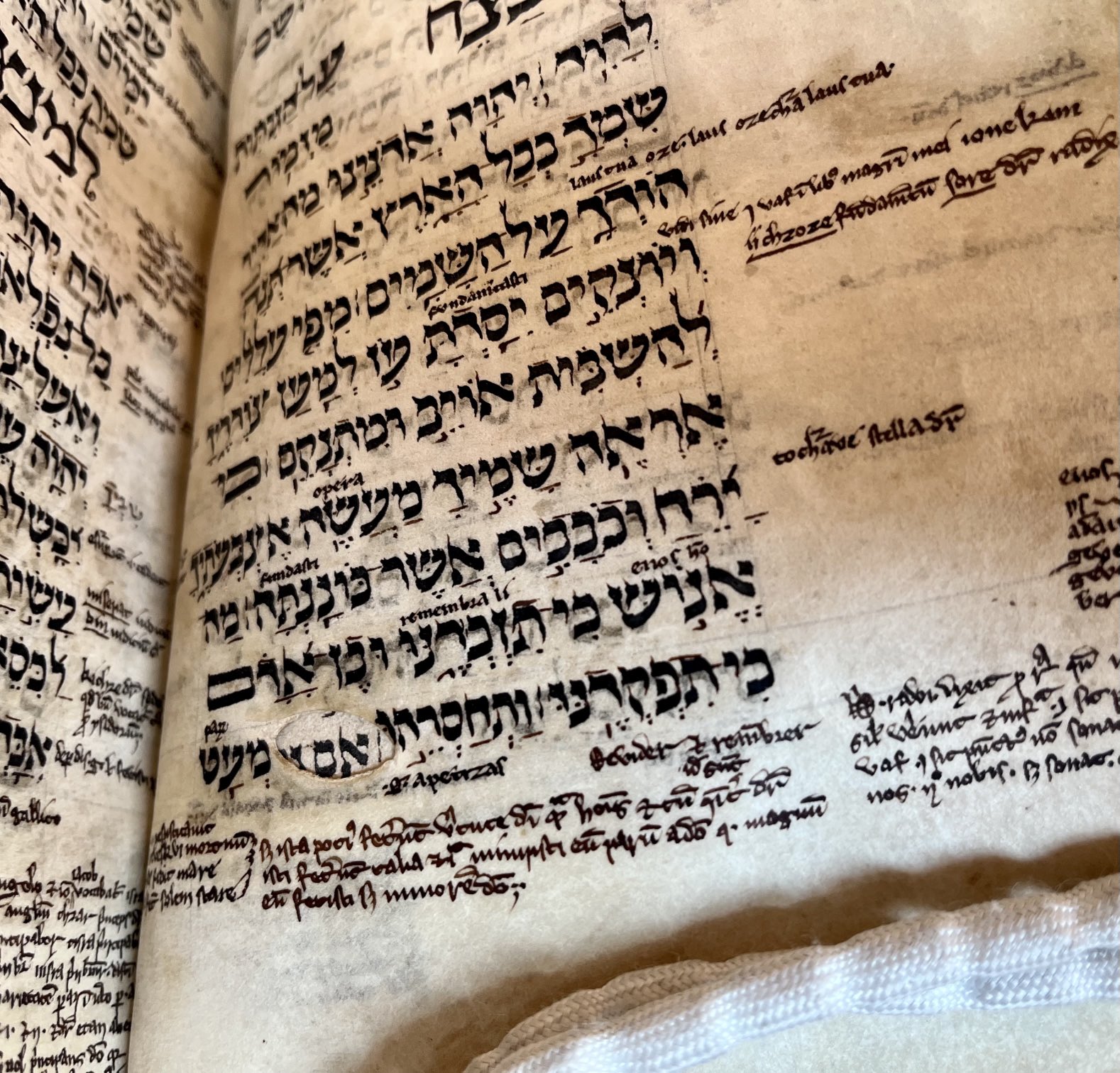Emily Steiner on Twitter "Got to spend time with my medieval Hebrew