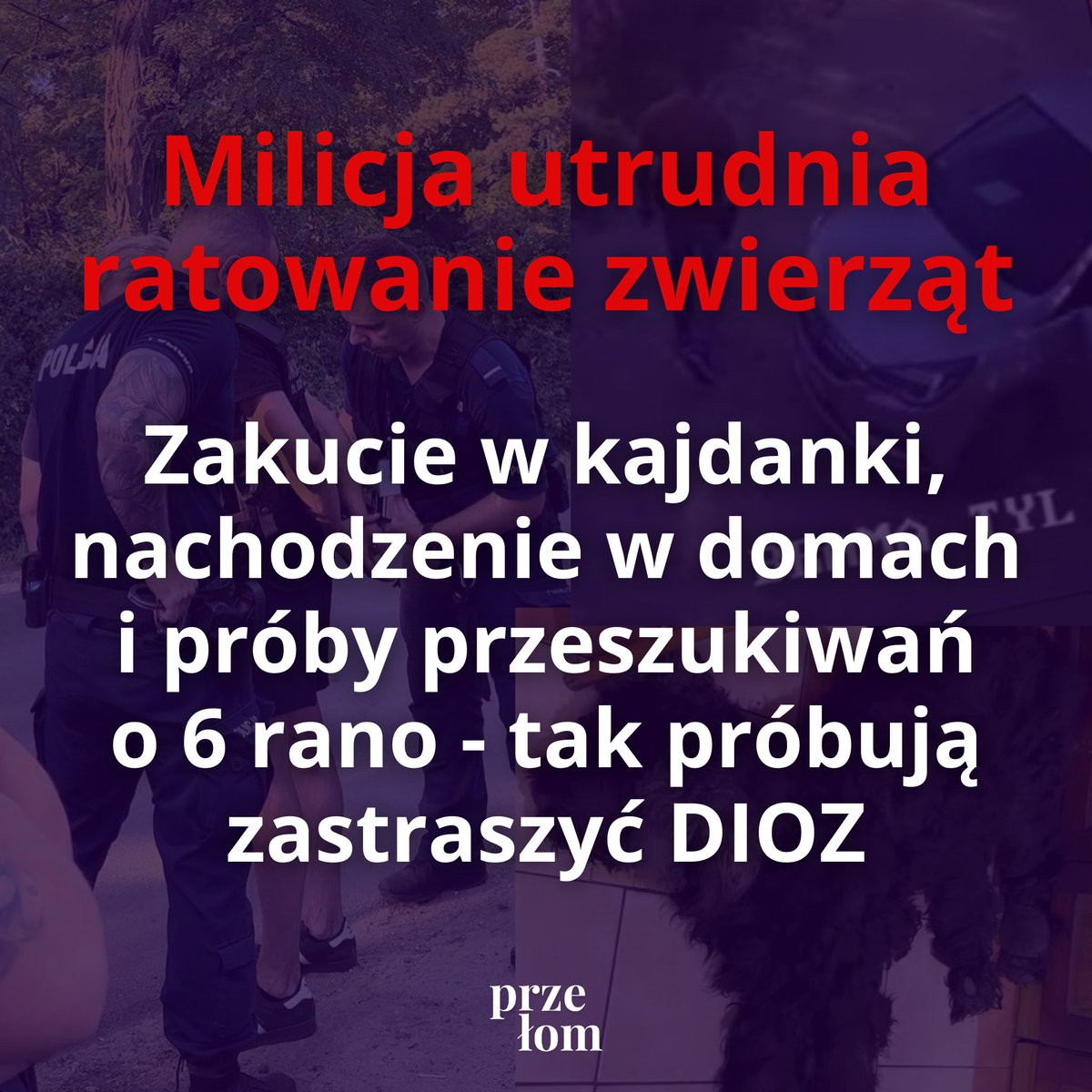 przelom_'s tweet photo. Tak wyglądają realia ratowania zwierząt w Polsce. 

Stoimy murem za #DIOZ https://t.co/Yfj1Oa39k4