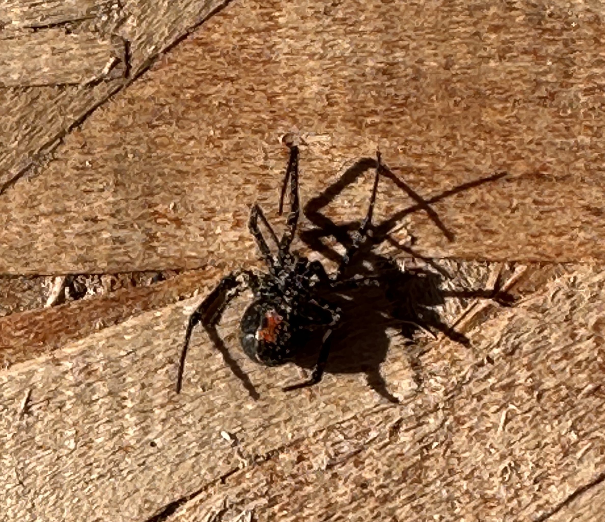 Brandon on Twitter "I know, I know… Face your fears. Even when it’s