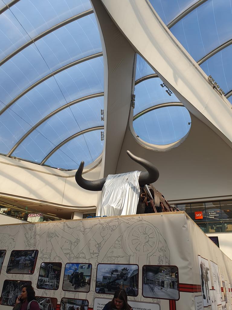 Oooo looks like the Commonwealth Games Bull is going to have a new home! How awesome! 🤩🤩 #Birmingham #Brum