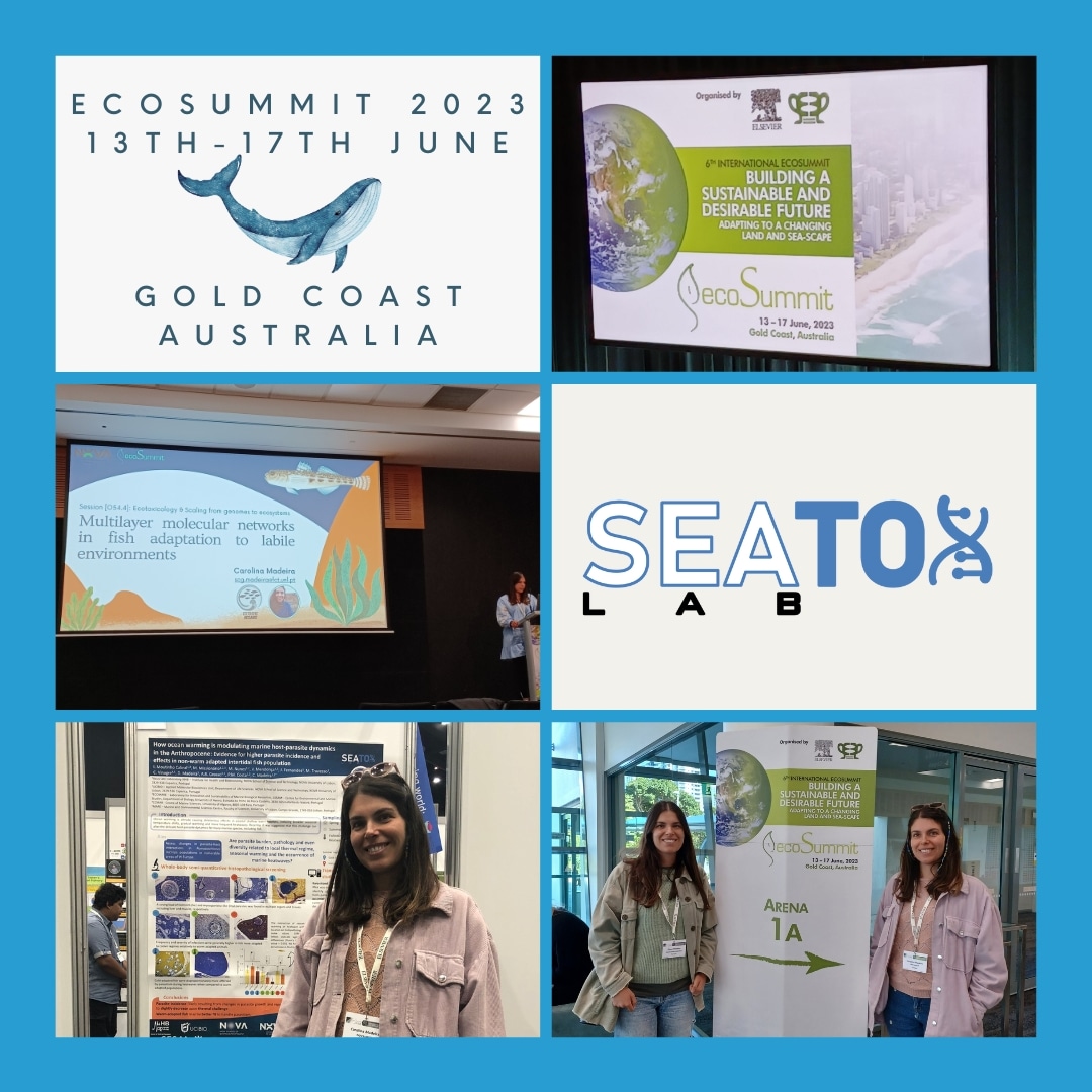 @seatoxlab researcher @SCMadeira (@i4HBio  and @UCIBIO_Research) made a big presence at #ecosummit2023 in #Australia, last June, together with her twin @DianaSMadeira (@CESAM_Univ).
___
@FCTNOVA
#climatechange
#oceanwarming
#marinebiology
#molecularbiology
#omics
#bioinformatics