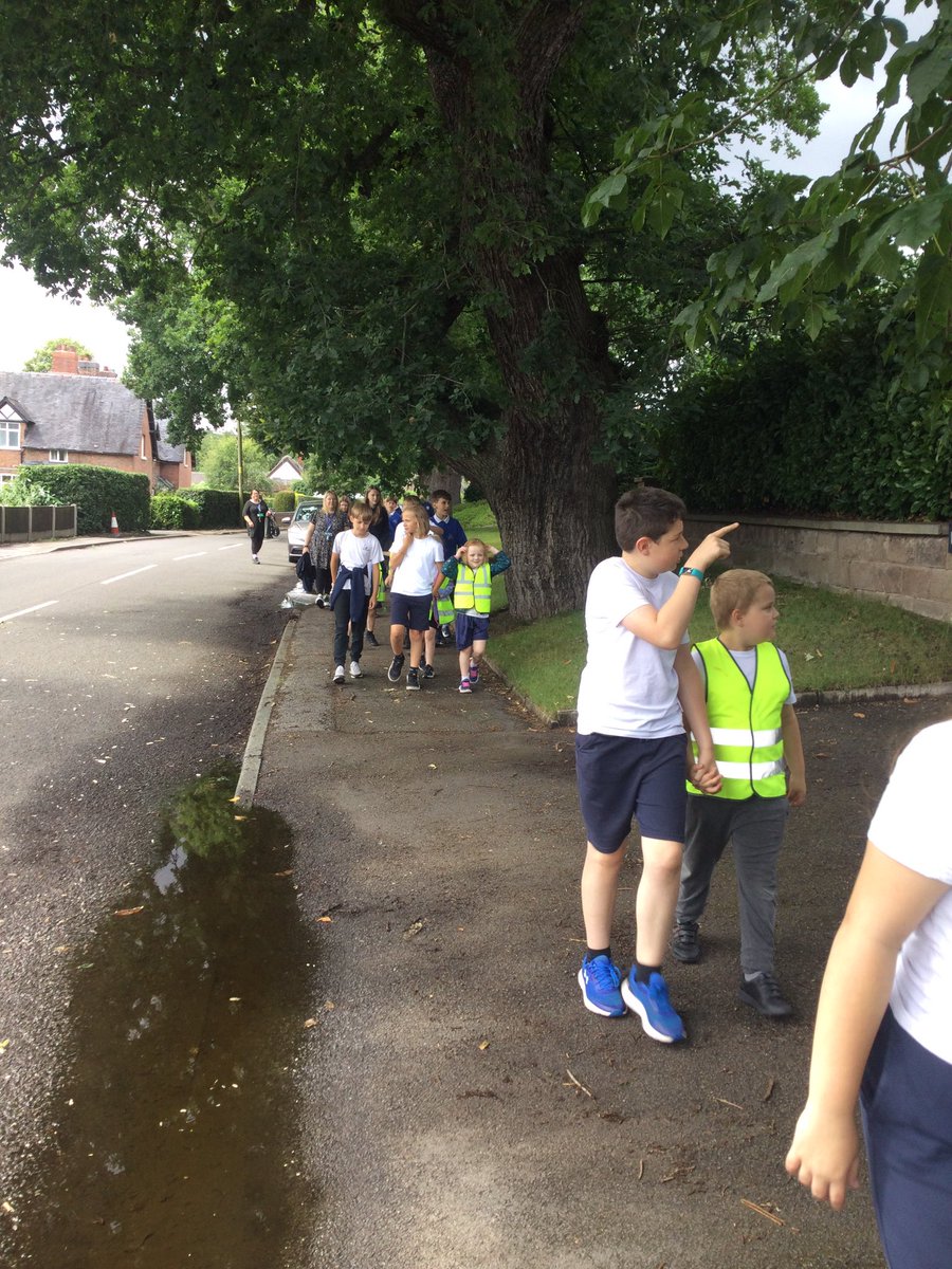 @WhitegateMaple tweet media