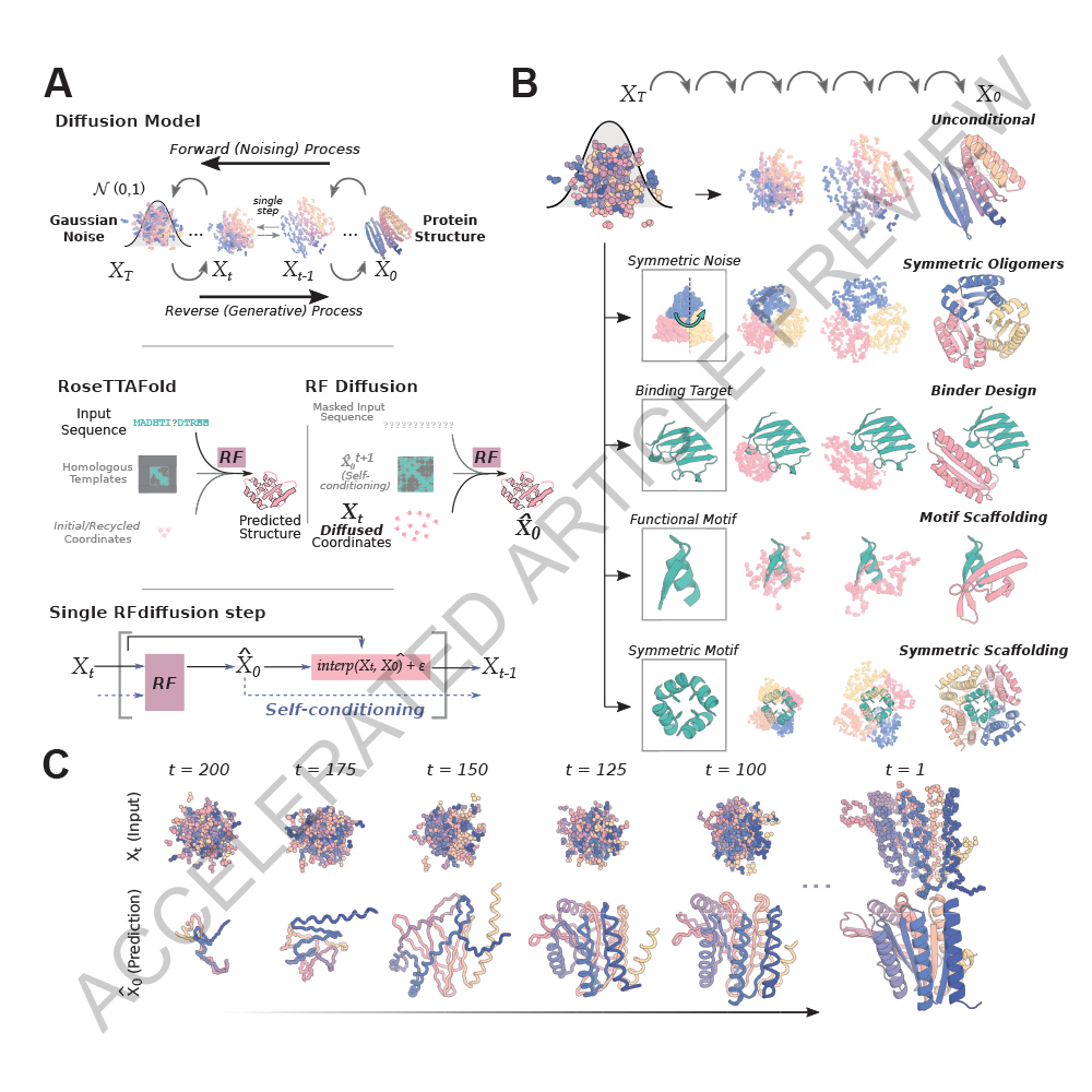 NaturePortfolio's tweet image. A paper in @Nature describes a highly accurate deep-learning approach for designing novel proteins. The method enables the generation of diverse functional proteins, including structural topologies that have never been seen in natural proteins. go.nature.com/3XOE65a