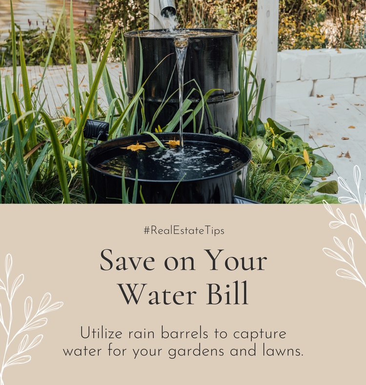 This summer, let's be conscious of our water usage. Consider adding a rain barrel to your garden to collect and reuse rainwater. It's eco-friendly and your plants will love the natural hydration. Plus, it could save you a considerable amount on your water bill. 
#EcoFriendlyTips