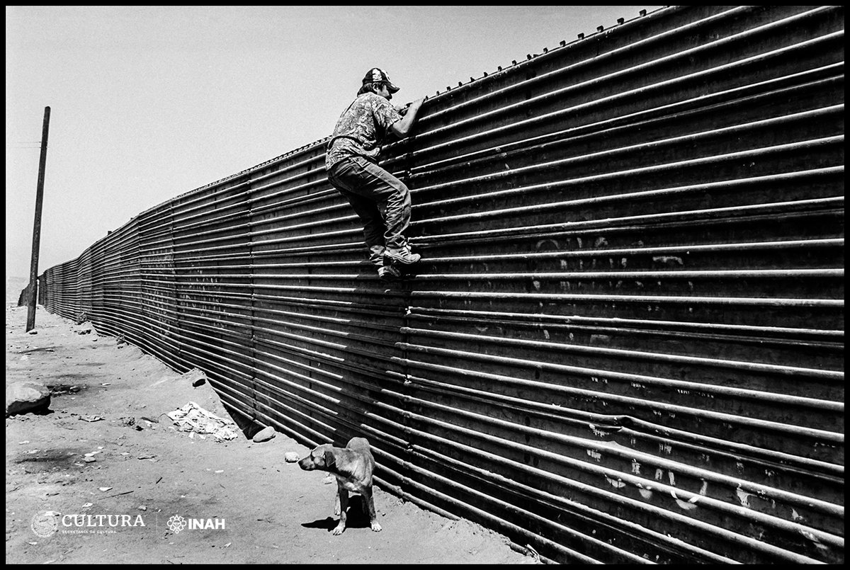 cultura_mx's tweet photo. Abrirá la muestra "Más que un muro" y la instalación "Terreno hostil 94", en torno al fenómeno migratorio

🔹 Se inauguran este 11 de julio de 2023, en el @MuseoCulturas, como parte del primer Encuentro Internacional sobre Movilidad Humana.

🔗 https://t.co/K7lhrvf0SY https://t.co/YmcOzSckOT
