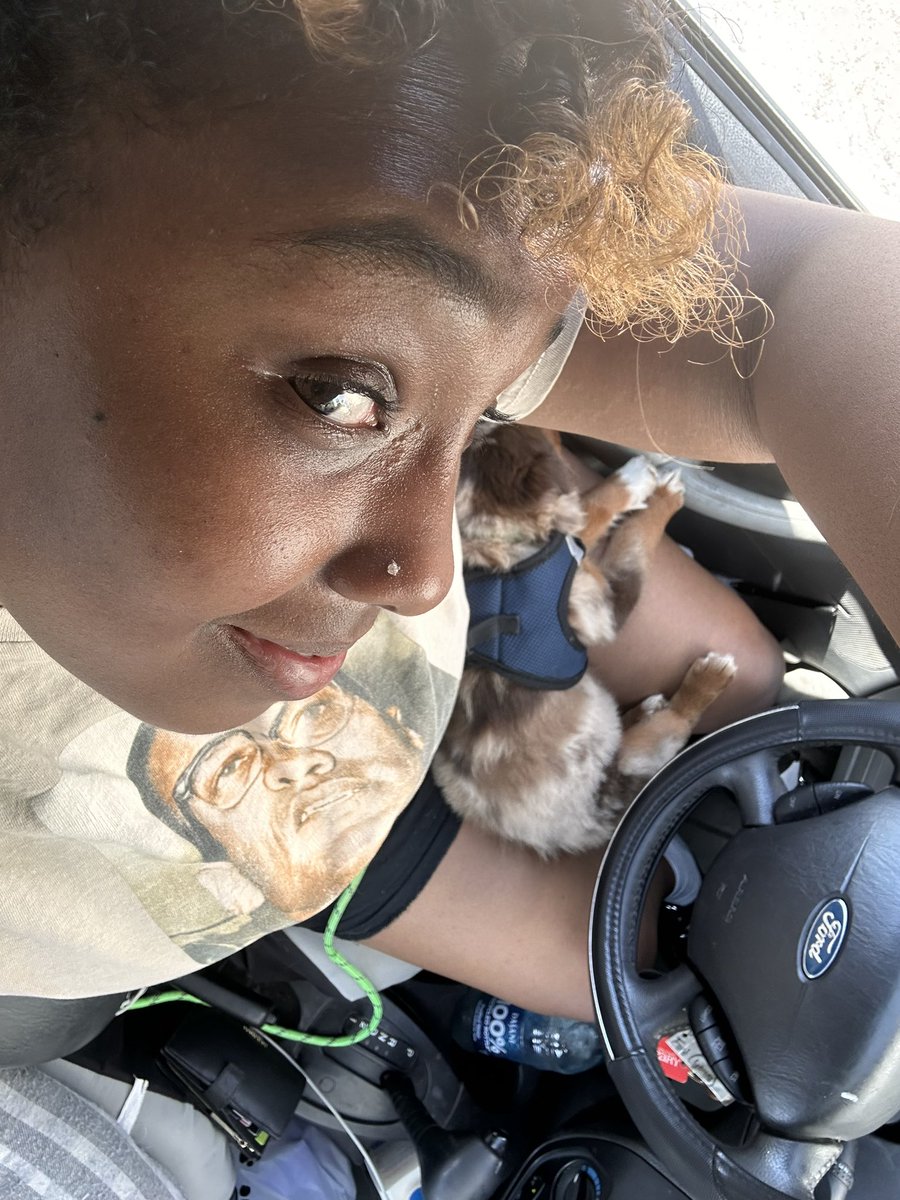 pashioun's tweet photo. “But is it dog friendly tho?” 

STATUS UPDATE: Doggy mom to Kialo 💖🤭 https://t.co/sbaoMqmGuW