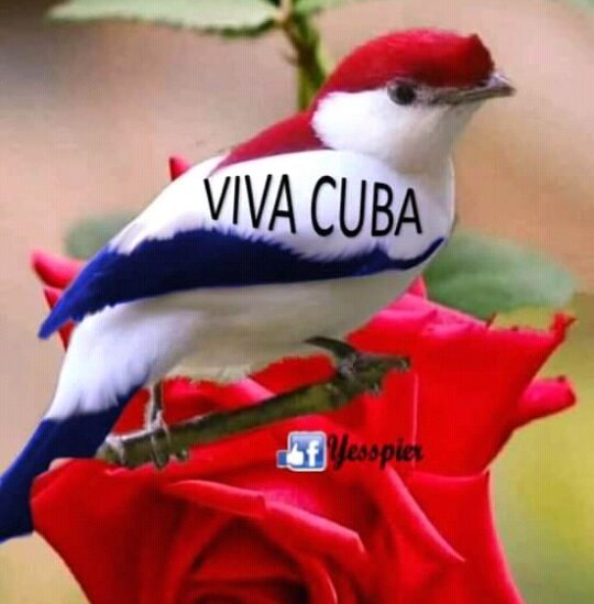 La Dirección Provincial de Cadeca La Habana se suma a no permitir la incitación a la Violencia protejamos nuestras calles con un pueblo unido defendiendo sus conquistas
#ConLaFuerzaDelPueblo 
<a href="/cadecaoficial/">CADECA Oficial</a> 
<a href="/Kenia83508929/">Kenia</a> 
<a href="/Milagri55009200/">Milagrito</a> 
<a href="/AngelaMadayFer1/">Angela Maday Fernández López</a>