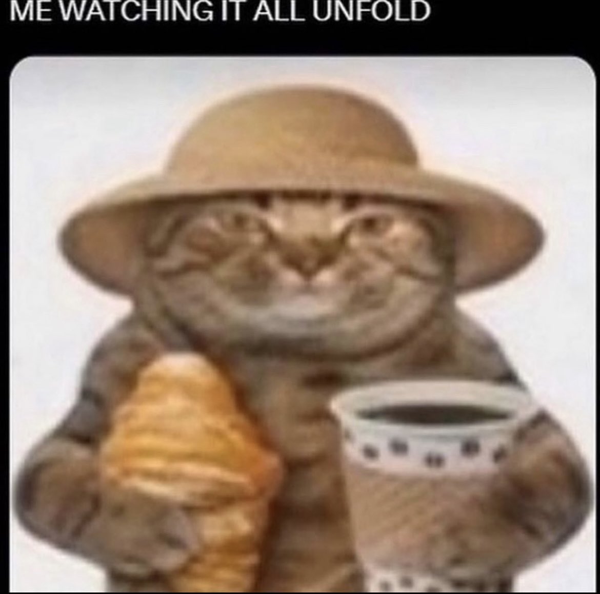 GM

This is me going through CT every day