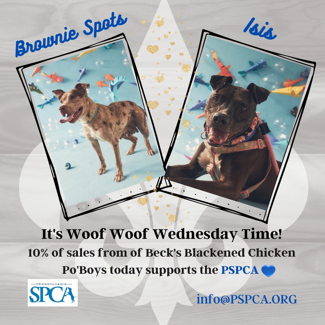 BecksCajunCafe's tweet photo. Guess what's tomorrow? 
Time to grab a #PoBoy in support of the @PSPCA!
Get ready for one of these fun loving, friendly pups to steal your ❤️.
#adoptdontshop #twitterpups #doglovers #dogsoftwitter #dogsarefamily #dogs #phillyfoodbloggers #phillyfoodies #phillyeats https://t.co/Gz4xfdQ1qh