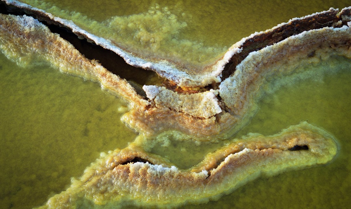 Exoticethiopian's tweet photo. A new feature of the Danakil Depression!
Photo: Christian Gerard
Join me in my upcoming adventure to the Danakil Depression!
#Saveyourdates #BookYourAdventure #Travelwithme #traveltips #Geotourism
@visiteth251 @flyethiopian @GetachewSS @mulugetaermias1 @lonelyplanet @iyoba4u https://t.co/05nyWPziJB