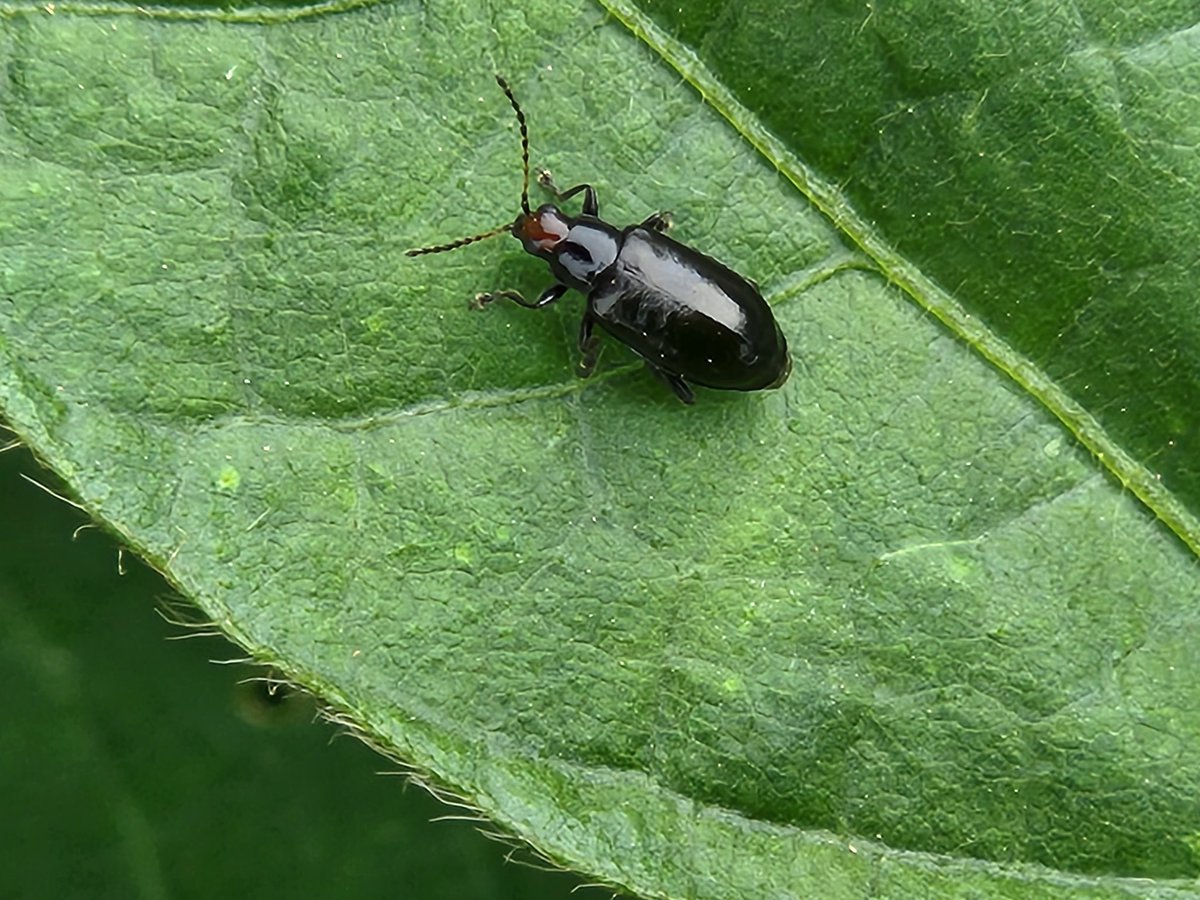 Bruce Potter tweet media