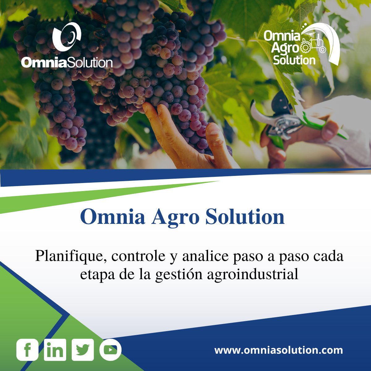 osolutionsac's tweet image. 🌎🥑 [Agroindustria] Omnia Agro Solution es una solución personalizada basada en las mejores prácticas de implementación en nuestros diferentes clientes, contemplando los procesos más representativos del rubro agroindustrial

#OmniaSolution #SAPQualifiedPartner #technology