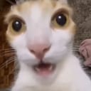 ёяз ёяз р р ёэътёэщ ёэъоёэъш р ю On Twitter Bobicraftmc Yo Y Los Que Juegan En Ps4 Al ёяз ёяз р р ёэътёэщ ёэъоёэъш р ю On Twitter Bobicraftmc Yo Y Los Que Juegan En Ps4 Al