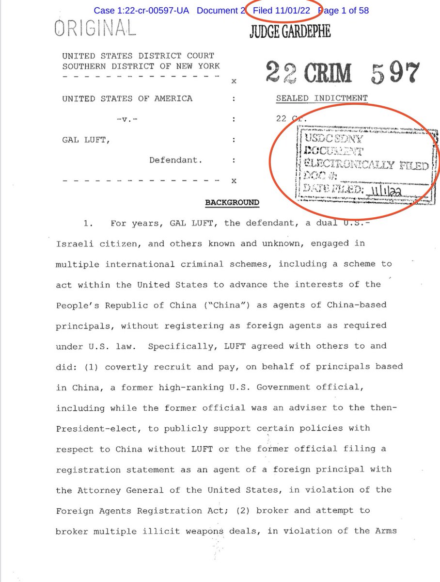 Gal Luft was charged in a sealed indictment on November 1, 2022 — before there even was a Republican-led House of Representatives.

Hard to retaliate against someone for schemes cooked up by the GOP in the future.