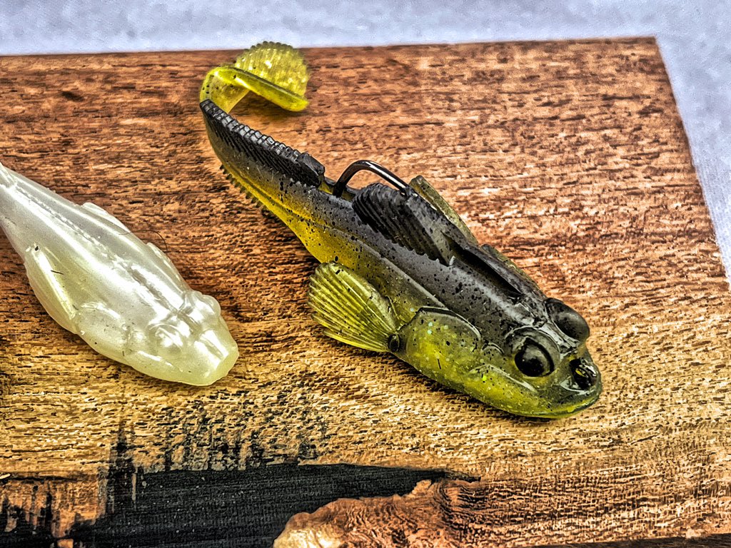 FishHardDave's tweet photo. Spotted some Gobies down here in FL! Can’t wIt to try these out! They look tremendous! #ZManFishing #iCast2023 #TRDGobies #Gobius https://t.co/9Otb5sMpjL