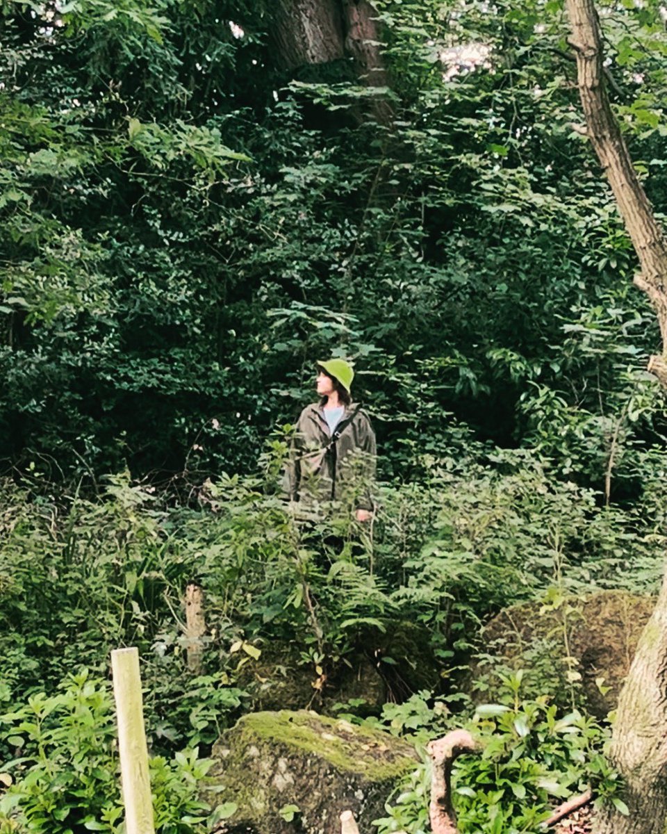 Mr Roman the frog is walking out of the forest