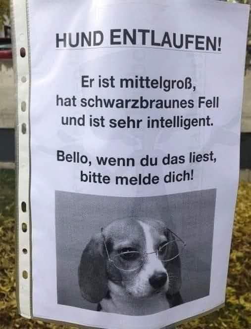 Win Diesel (@windieselpower) on Twitter photo 