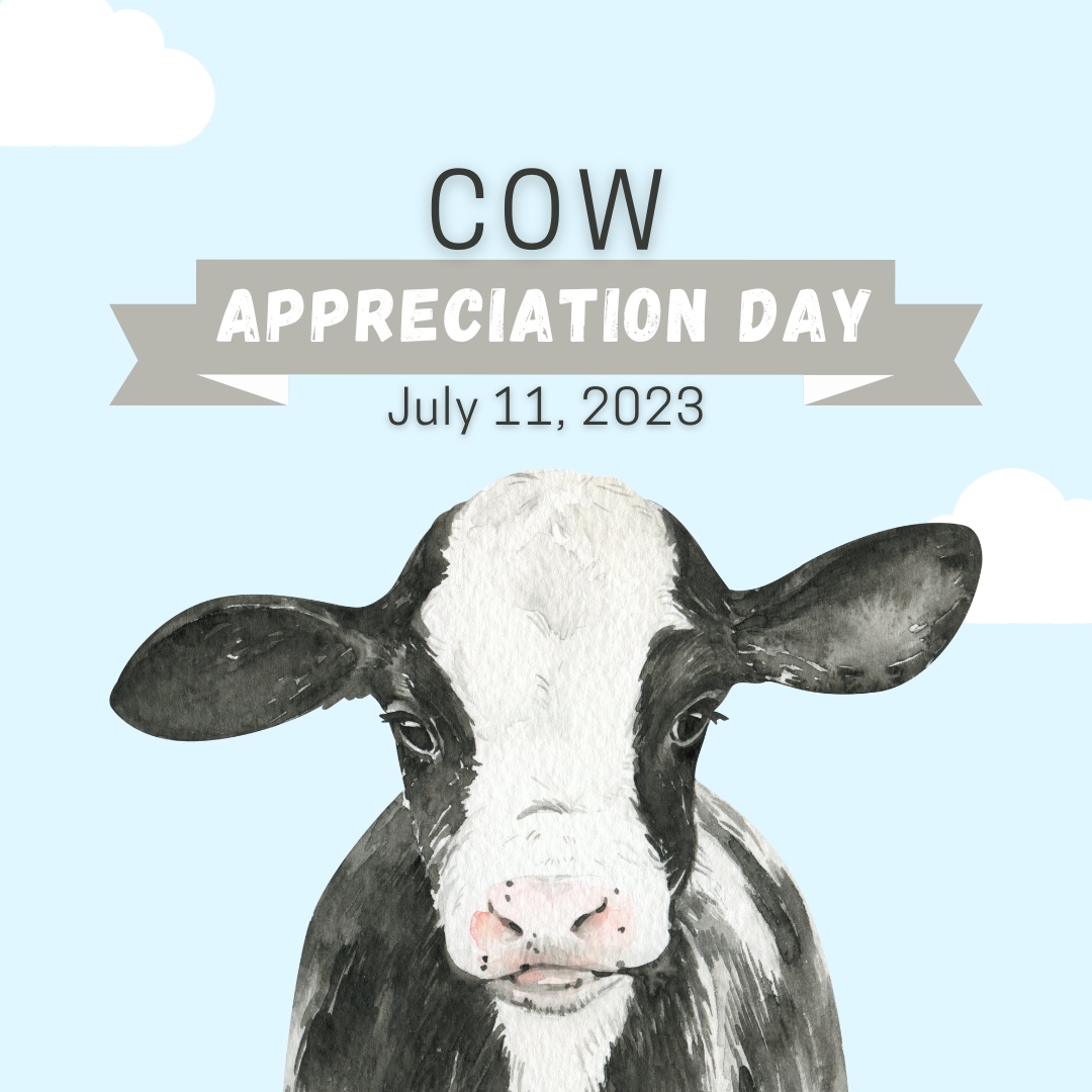 Happy Cow Day!
.⁠
.⁠
.⁠
.⁠
​​#internationalcowday #cowappreciation #azrealestate #homeloans #arizona #hustle #azhomebuyer #azhomeseller #scottsdale #phoenixhomes #homesforsale #openhouse #maricopacounty #phoenix⁠
#house #realtor #realtorlife #realty #realestateagent