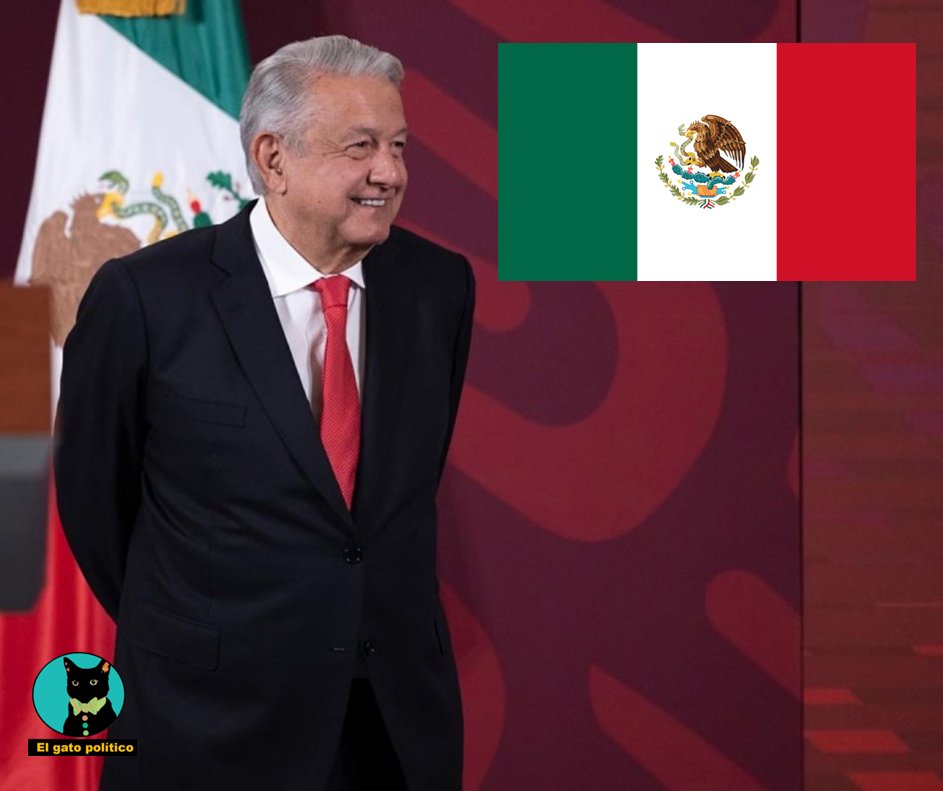 El gato político tweet media