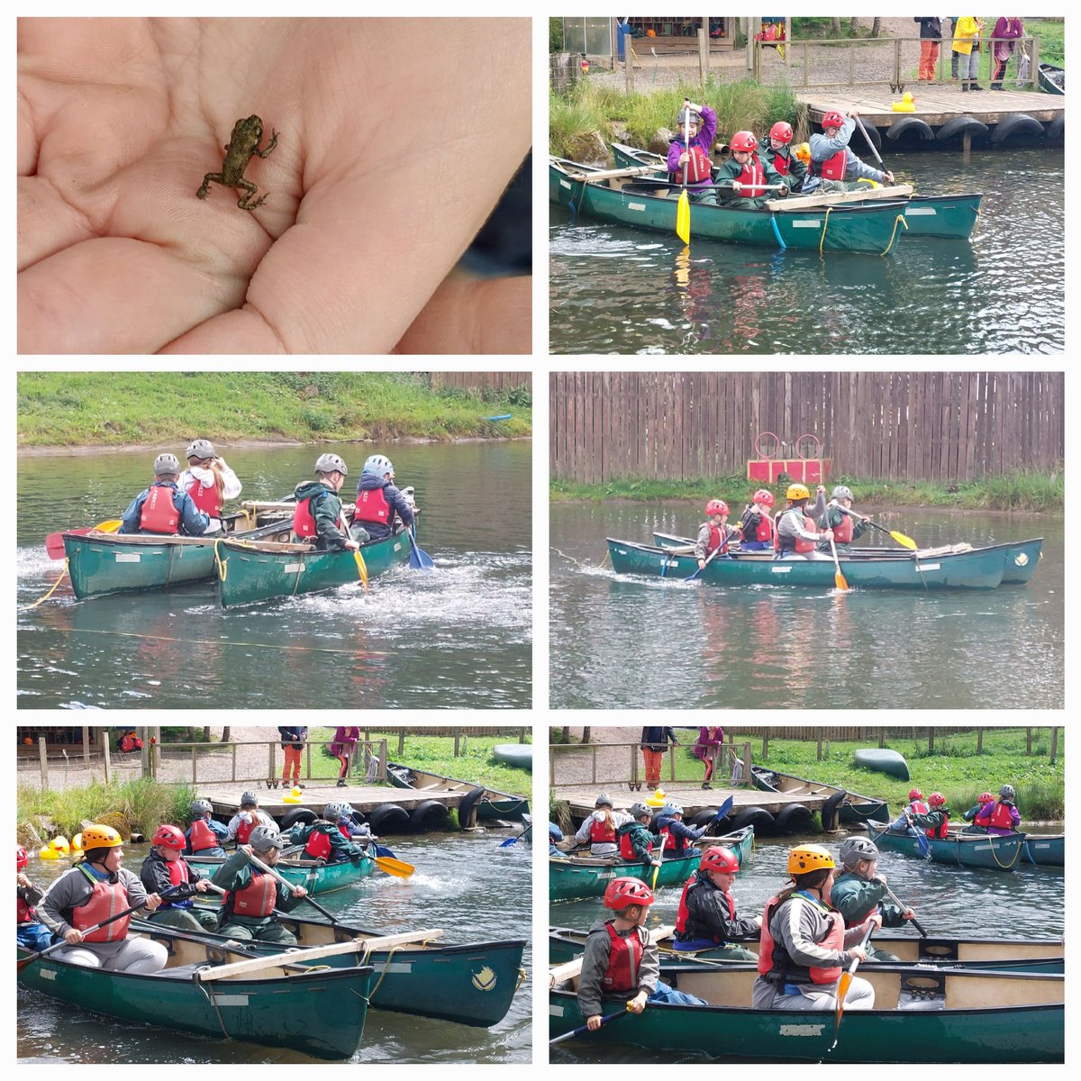 Linton Primary School tweet media