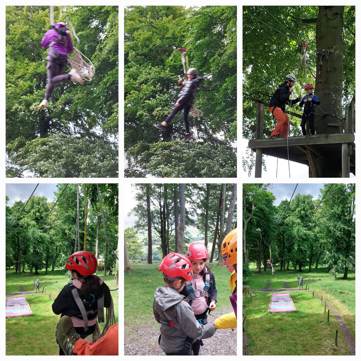 Linton Primary School tweet media