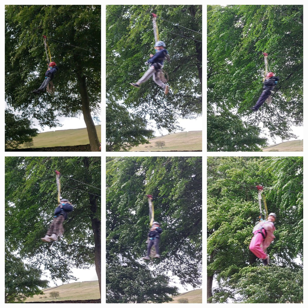 Linton Primary School tweet media