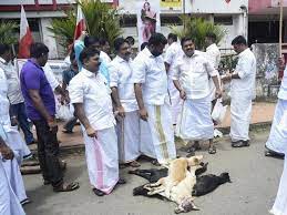 The recent killings of dogs in Kerala are deeply disheartening. It's high time people come together and raise their voices against this inhumane act. Every life deserves respect and compassion. Let's stand up against animal cruelty and work towards a more compassionate society.