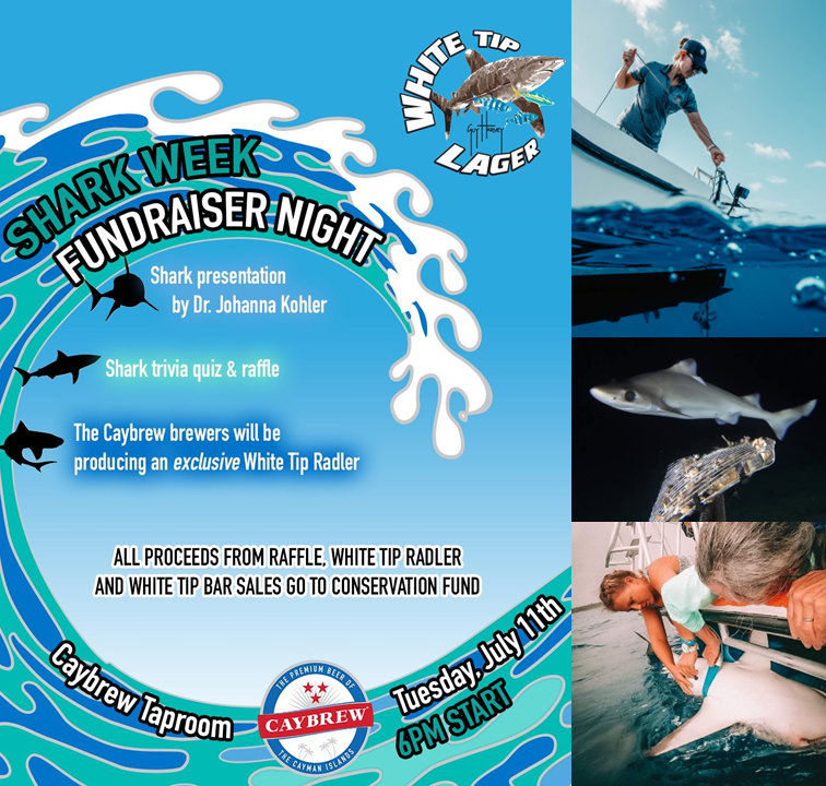 Join Dr Kohler from 6-8pm this evening at the Cayman Island Brewery. The Cayman Islands Brewery, through sales of White Tip Lager, is a long-term supporter of DoE's shark research - past and present.  #CaymanIslandsBrewery#SharkResearch