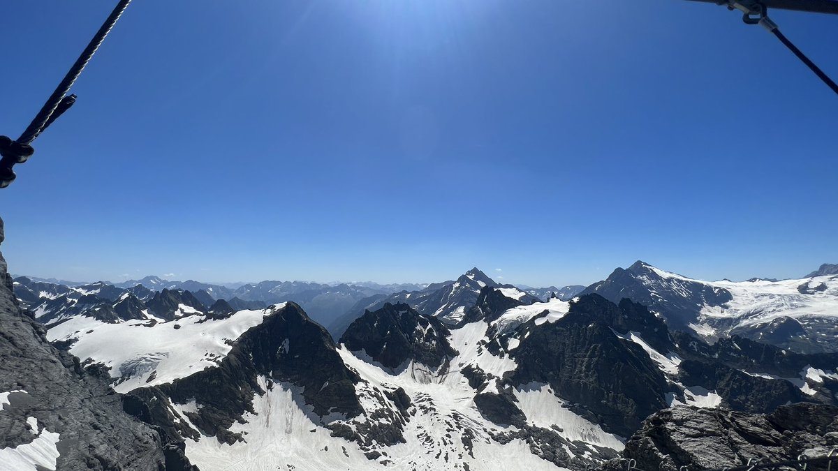 MFS WordsWorth tweet media