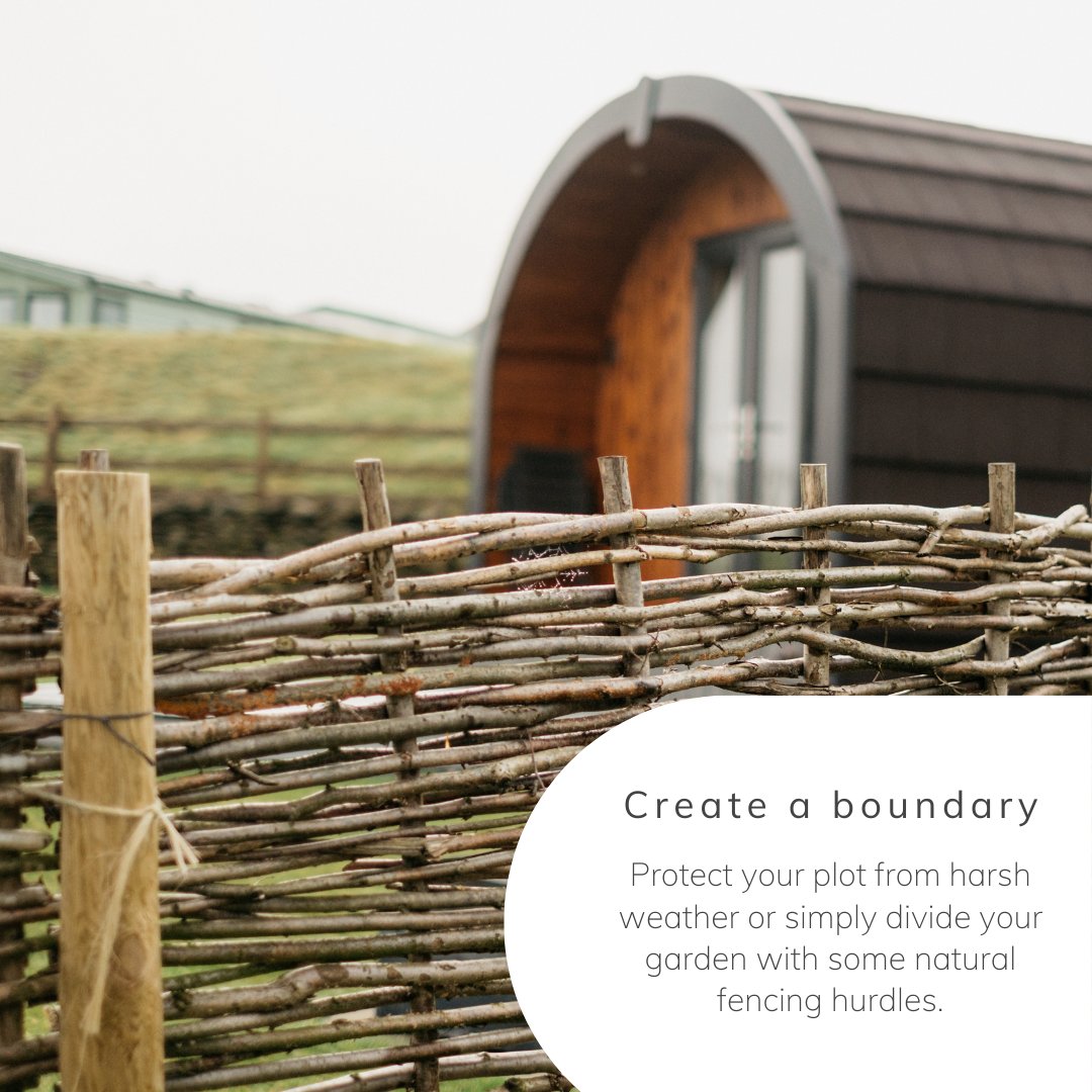 Primrose tweet media