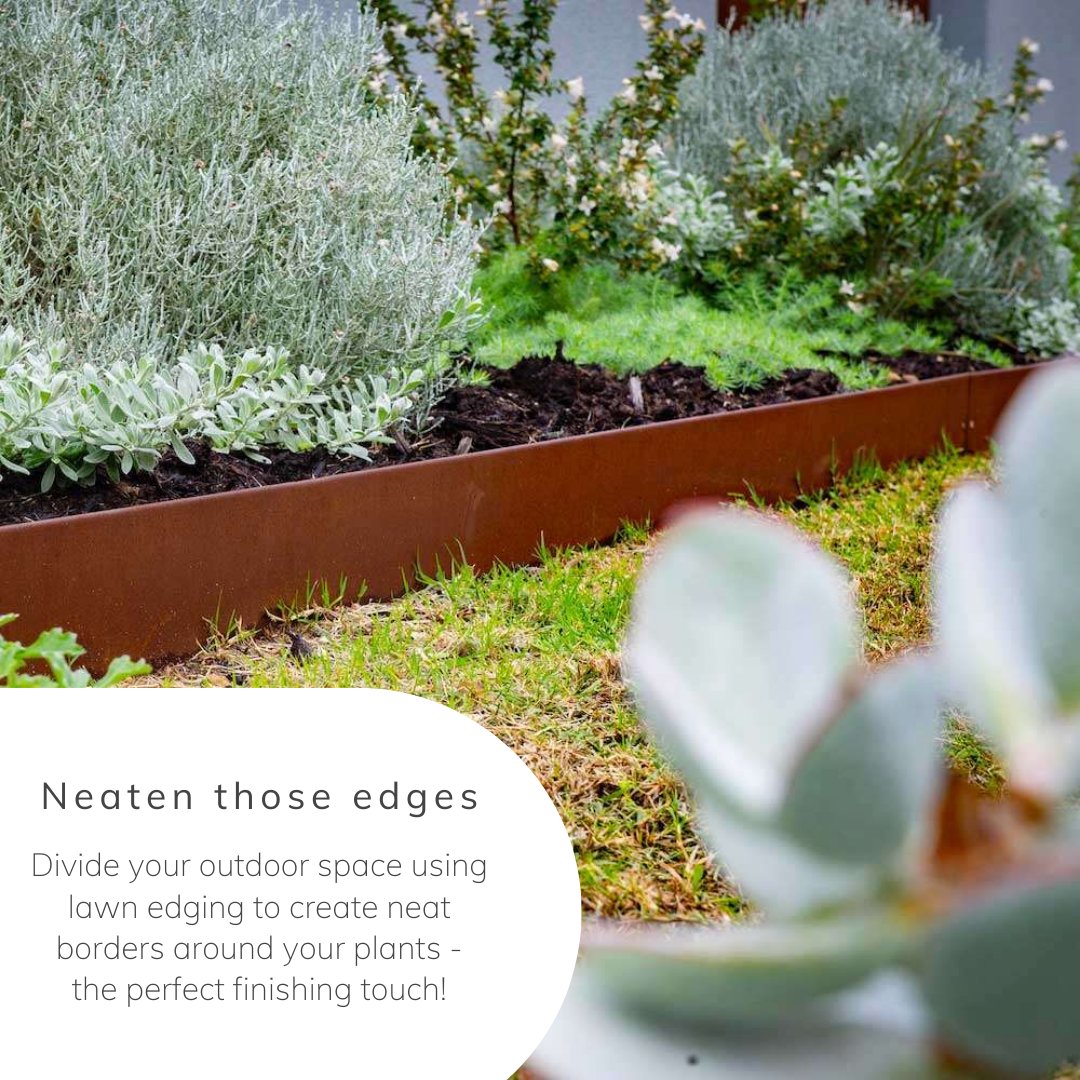 Primrose tweet media