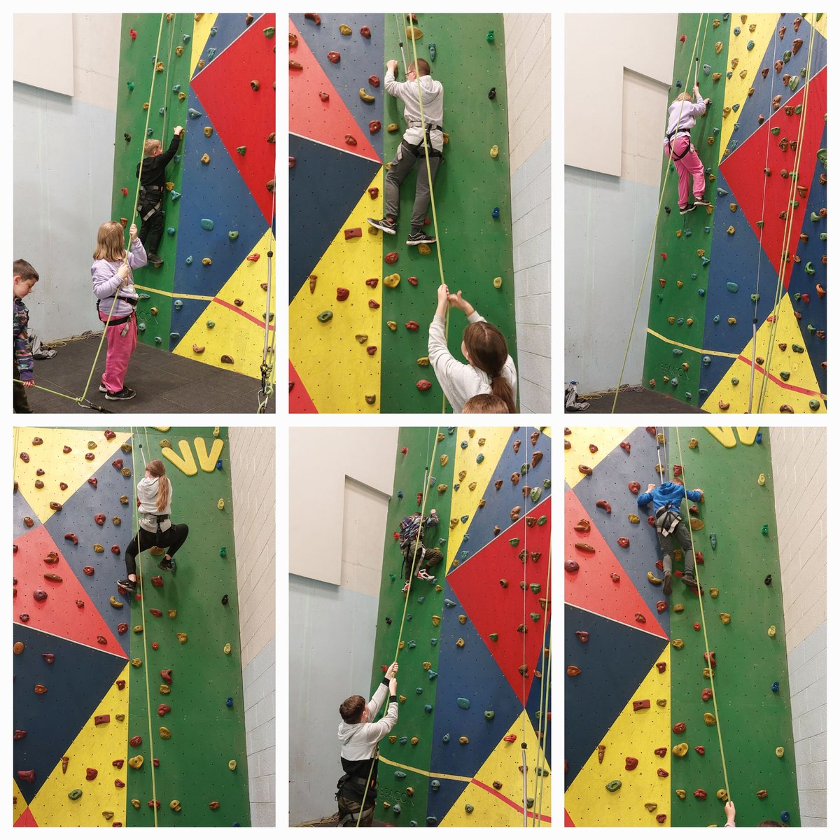 Linton Primary School tweet media