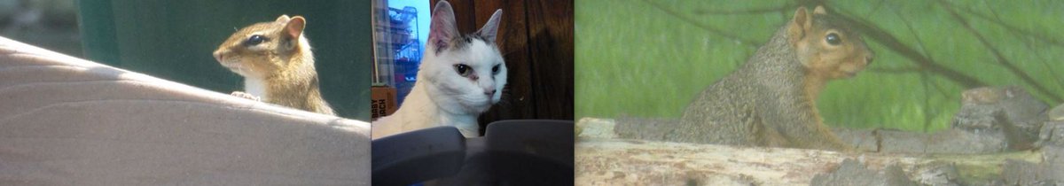 Daniel S. Duvall (@realdooovall) on Twitter photo 