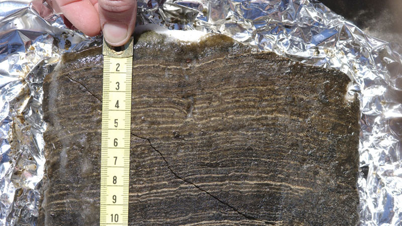 Breaking! Anthropocene Golden Spike: > Anthropocene Epoch begins in 1950 > Marked by Plutonium isotope. > Site = Crawford Lake, Canada Proposed by Anthropocene Working Group of @ICS2022 today. quaternary.stratigraphy.org/working-groups…